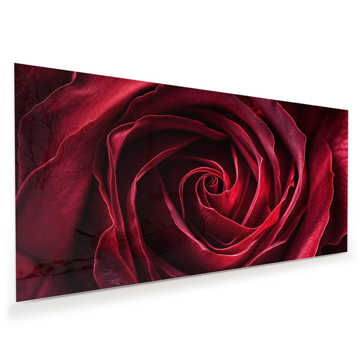 Tiefrote Rosenblüte formatfüllend, die Blätter drehen sich spiralig zur Mitte.