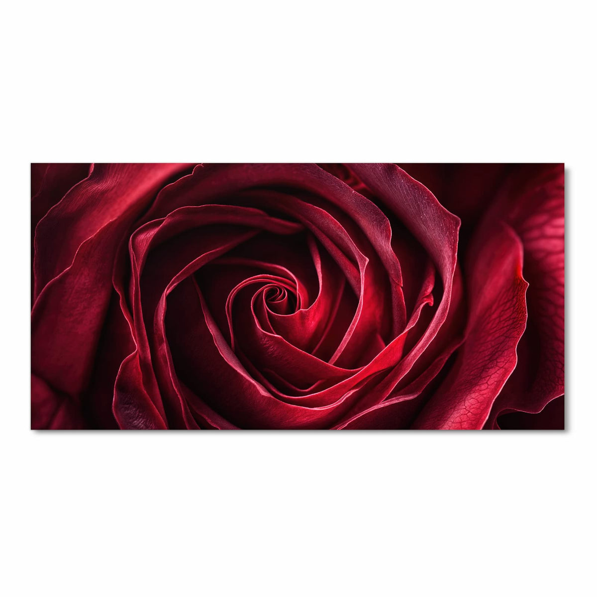 Farbbeständiger Bodenläufer mit Motiv Rose Makroaufnahme in Frontansicht