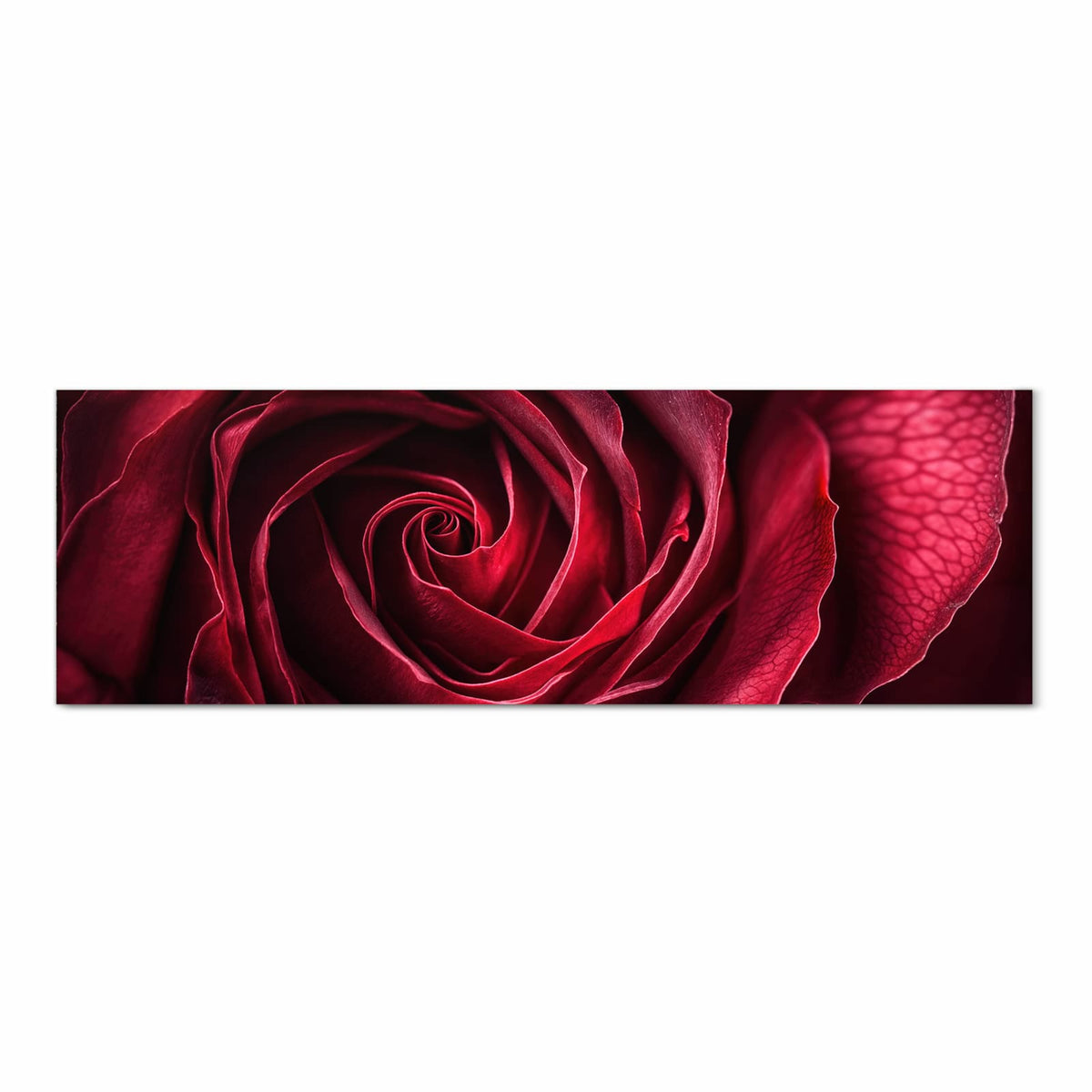 Waschbarer Küchenteppich mit Motiv Rose Makroaufnahme in Frontansicht für Trittkomfort