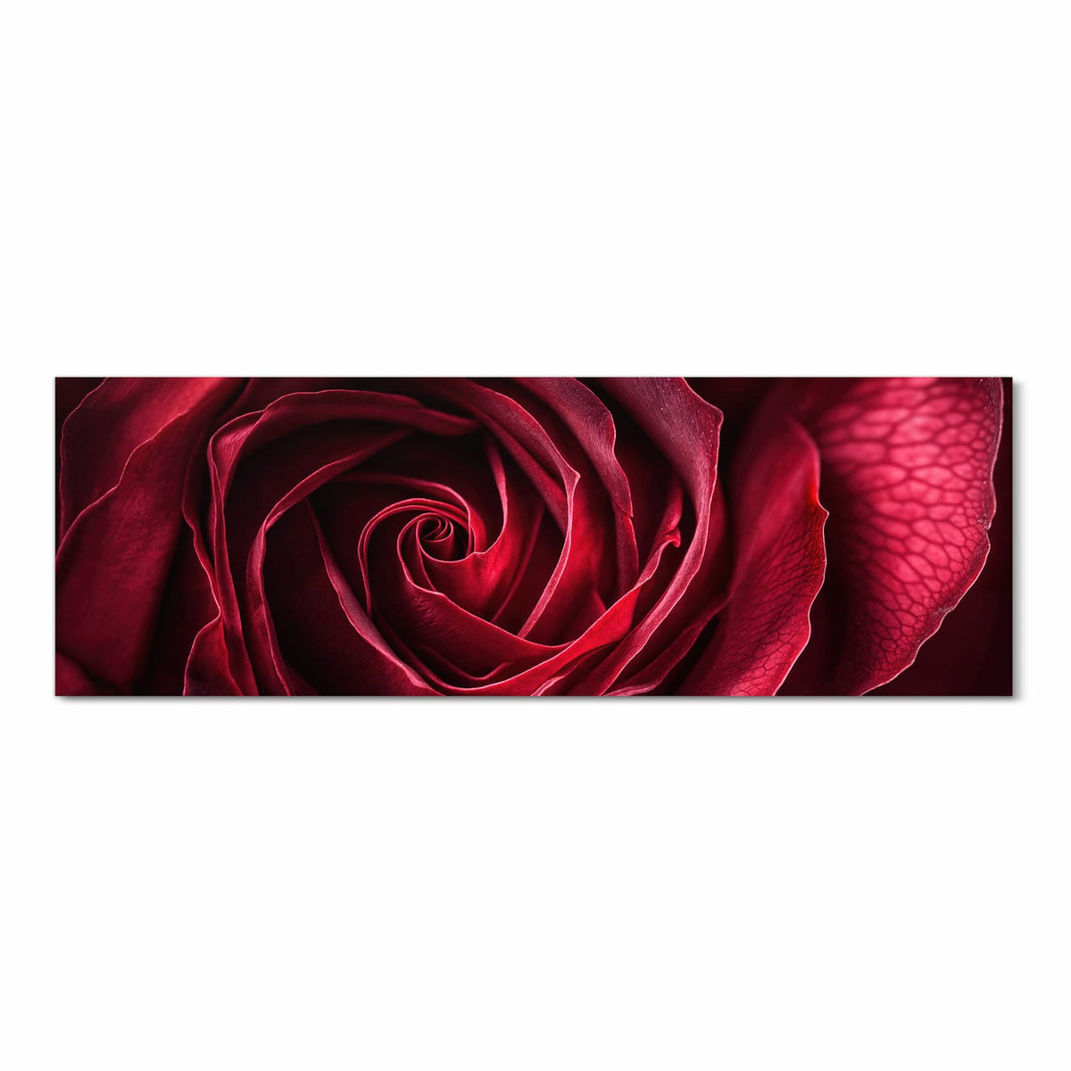 Küchenteppich mit Motiv Rose Makroaufnahme in Frontansicht - sicher aufbewahren