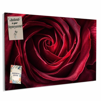 Metall Magnettafel mit dem Motiv Tiefrote Rosenblüte