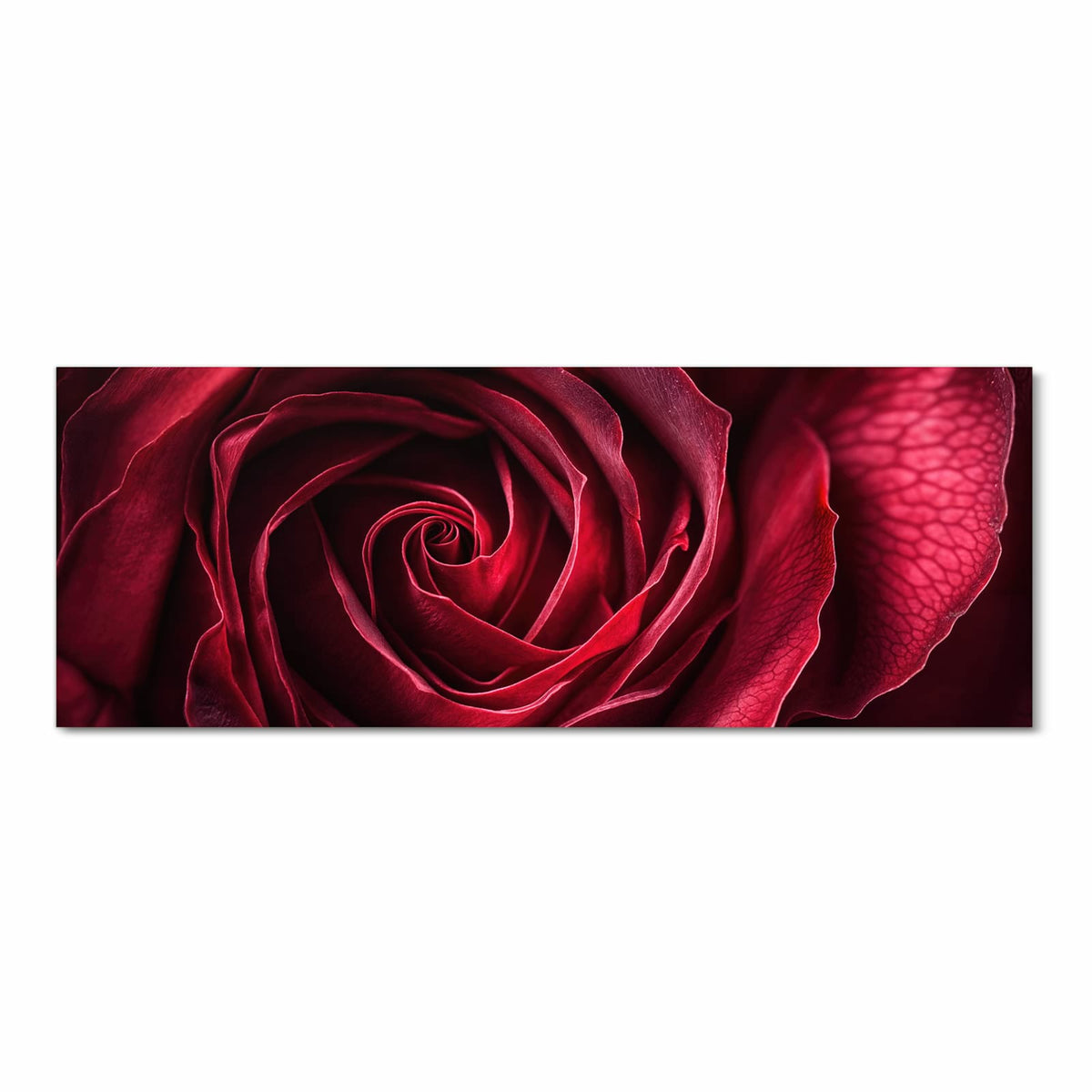 Schmutzabweisender rutschfester Küchenteppich mit Motiv Rose Makroaufnahme in Frontansicht