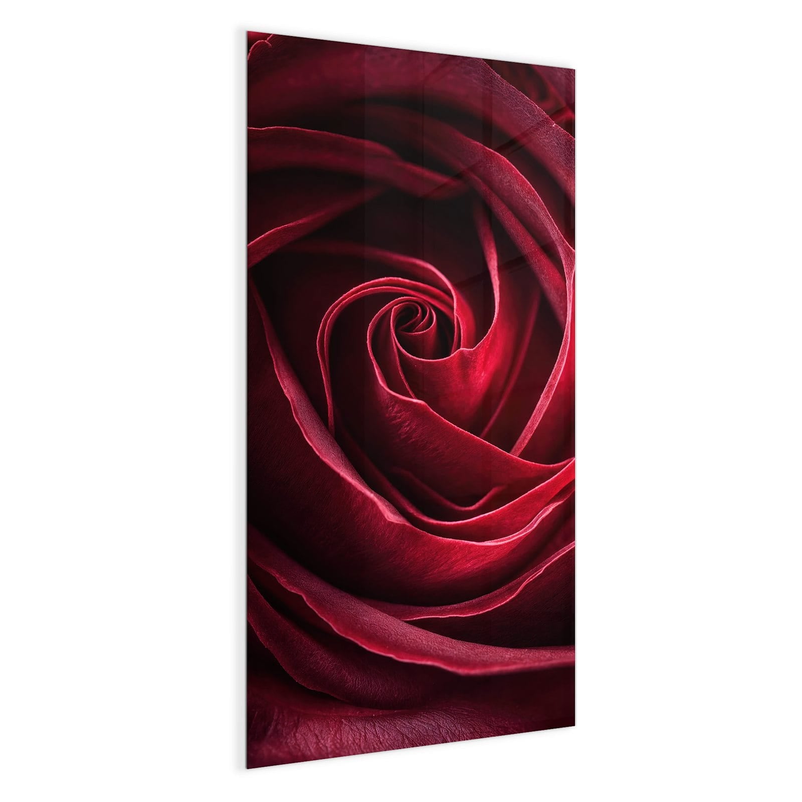 #grösse_50 x 100 cm