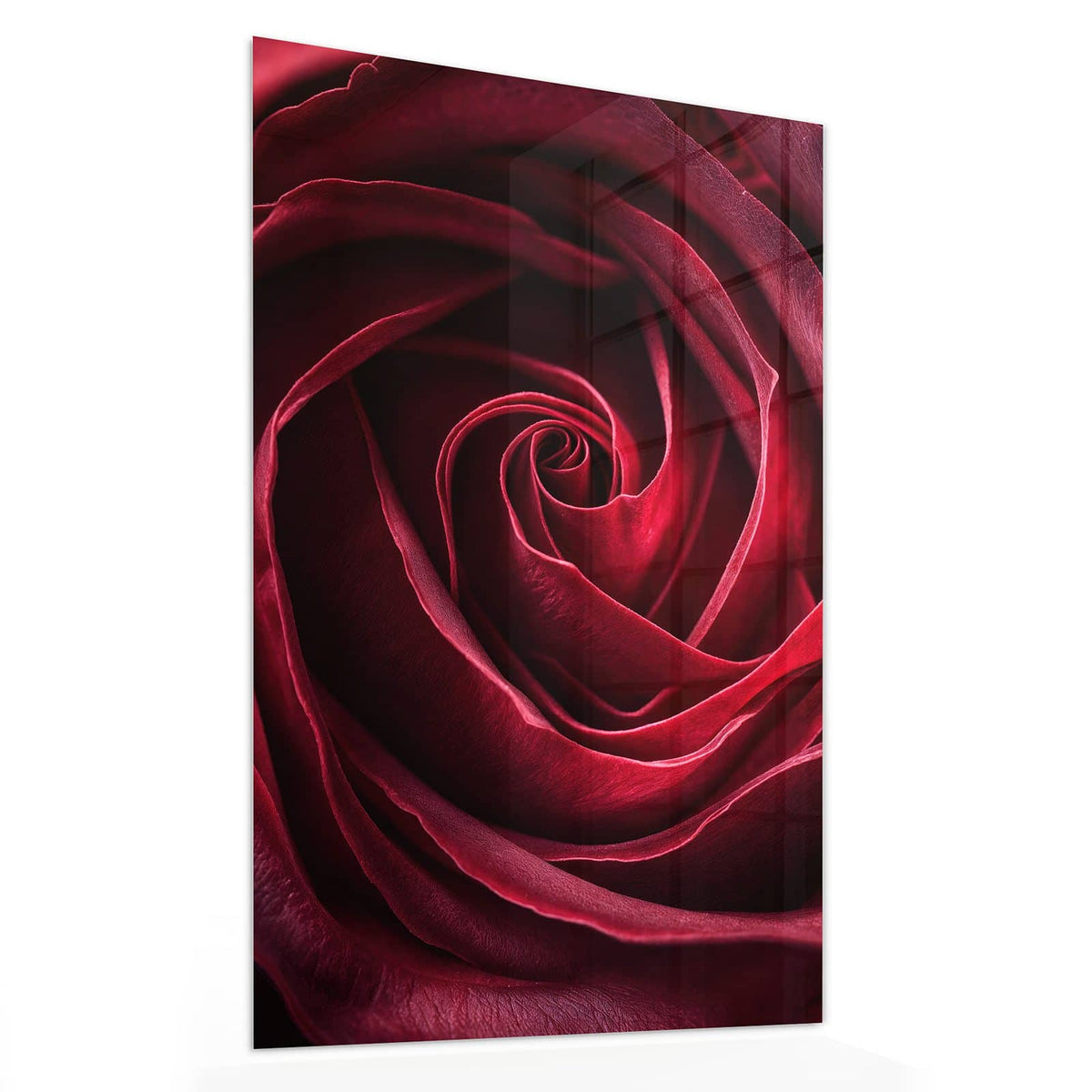 11 Größen – von 30 × 60 bis 60 × 150 cm – Wandbild - Tiefrote Rosenblüte - Hochformat