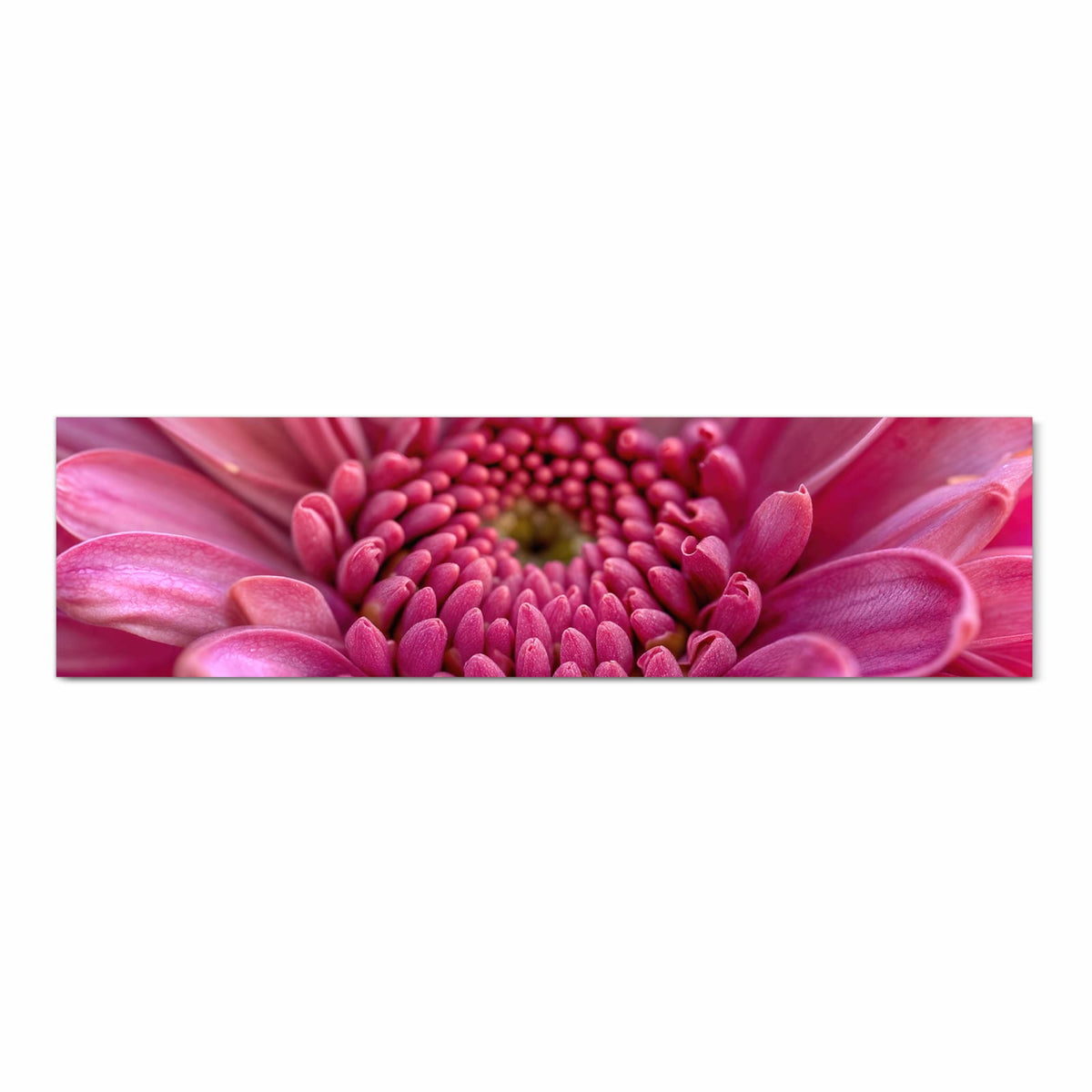 Waschbarer Teppich für Esstisch mit Motiv Nahaufnahme Blume in Frontansicht für Ordnung