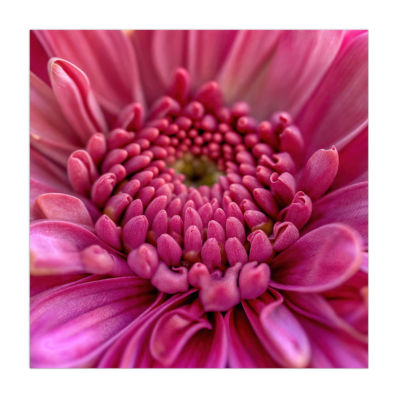 #grösse_40 x 40 cm #grösse_50 x 50 cm #grösse_55 x 55 cm #grösse_60 x 60 cm #grösse_65 x 65 cm #grösse_70 x 70 cm