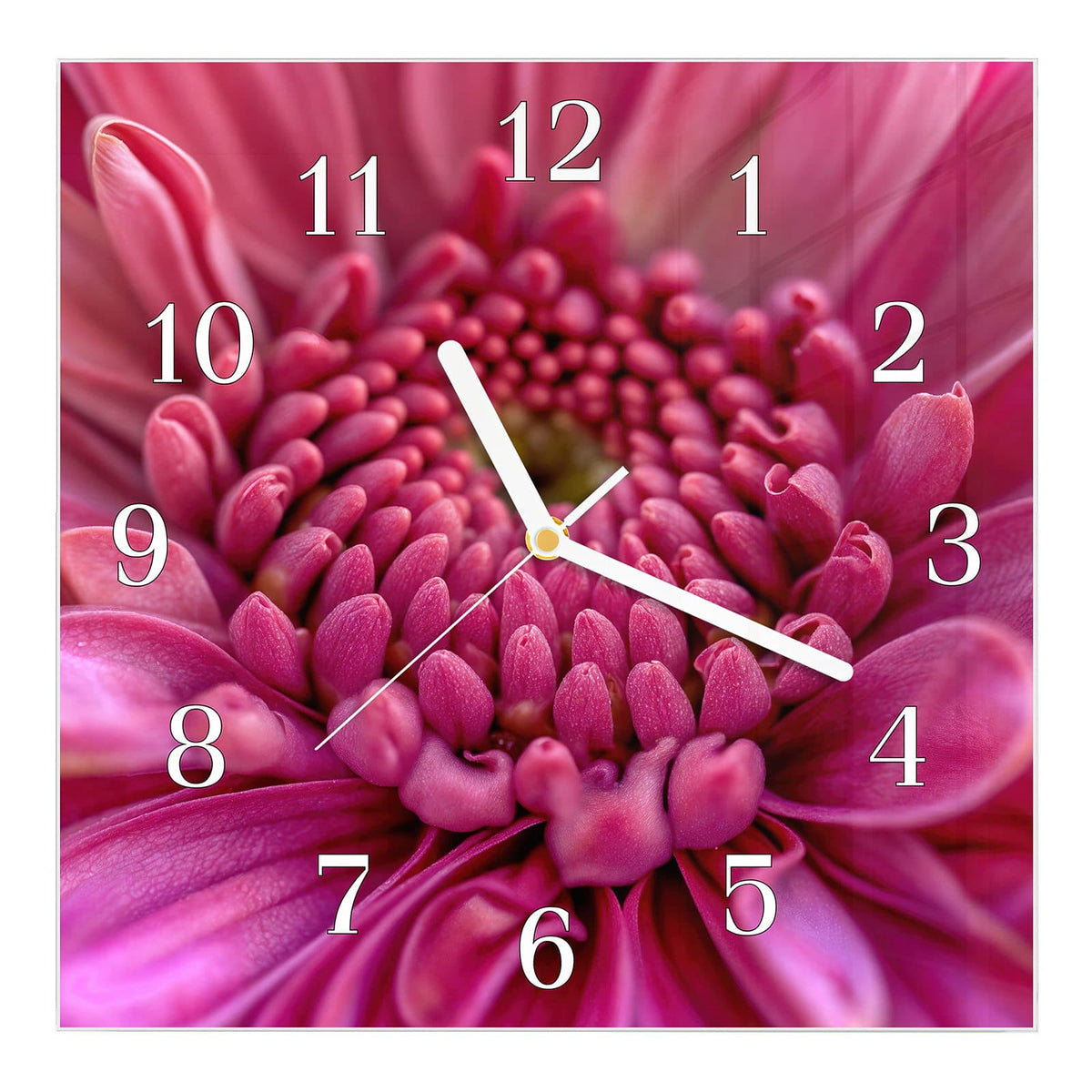 Wanduhr aus Glas, Ziffernblatt Klassisch: Makro einer pinken Blüte, deren Knospenzentrum sich spiralig anordnet.