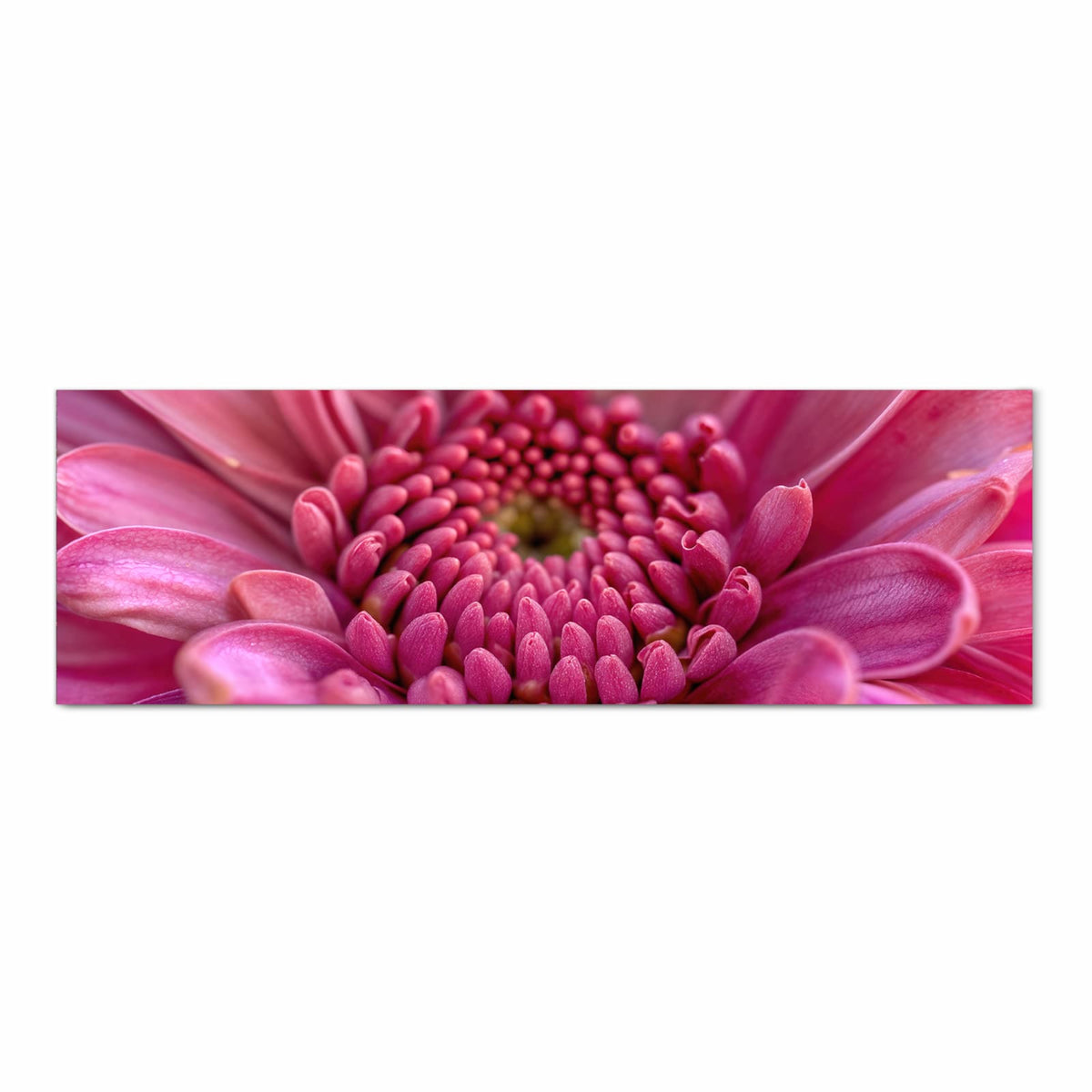 Feuchtigkeitsresistenter dünner Teppich mit Motiv Nahaufnahme Blume in Frontansicht, waschbar
