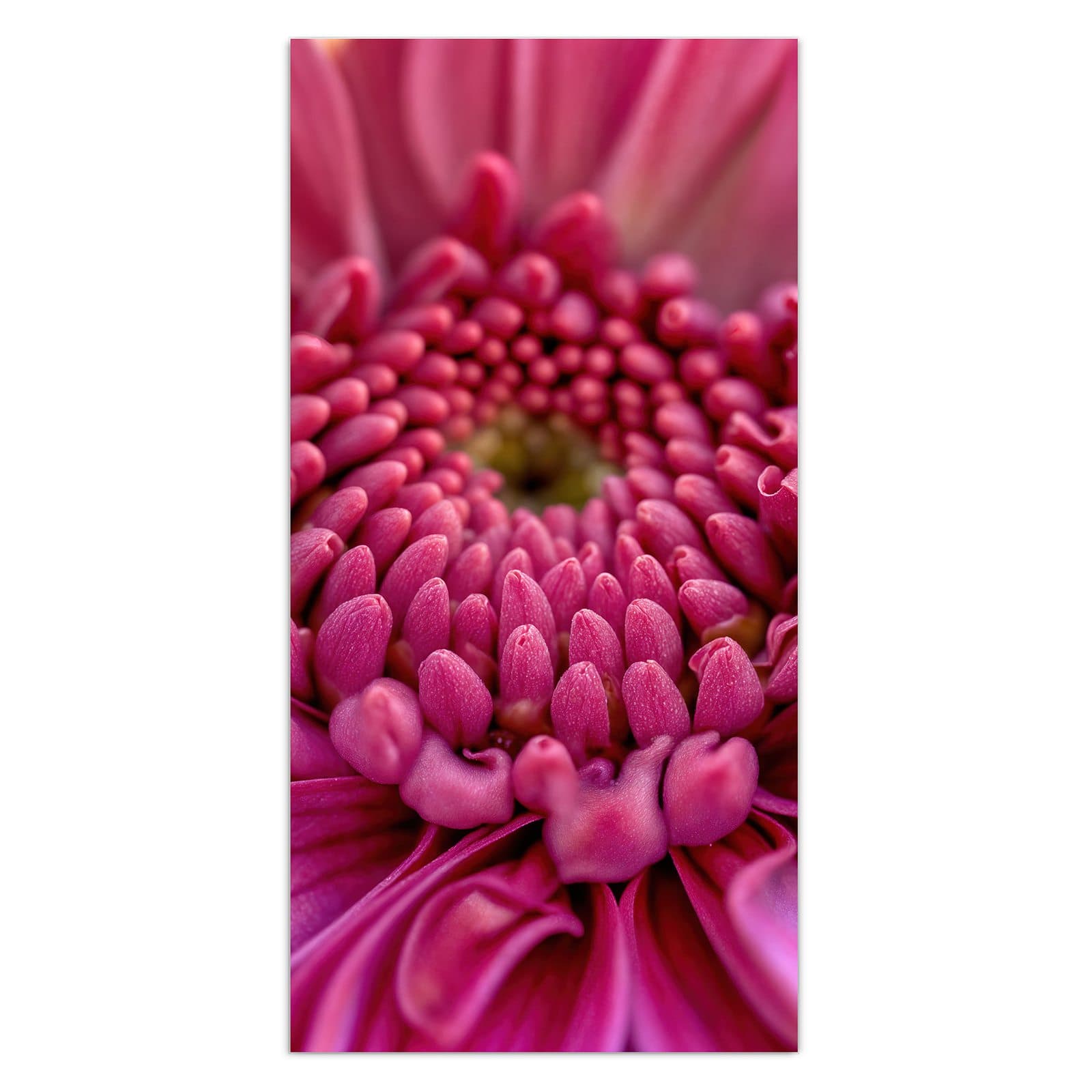 #grösse_30 x 60 cm #grösse_40 x 80 cm #grösse_50 x 100 cm #grösse_55 x 110 cm #grösse_60 x 120 cm