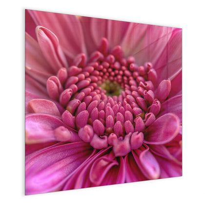Magnettafel mit dem Motiv Pinke Blütenspirale