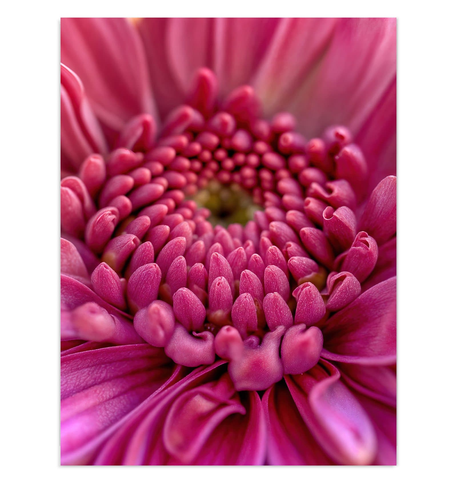 #grösse_30 x 40 cm #grösse_60 x 80 cm #grösse_75 x 100 cm