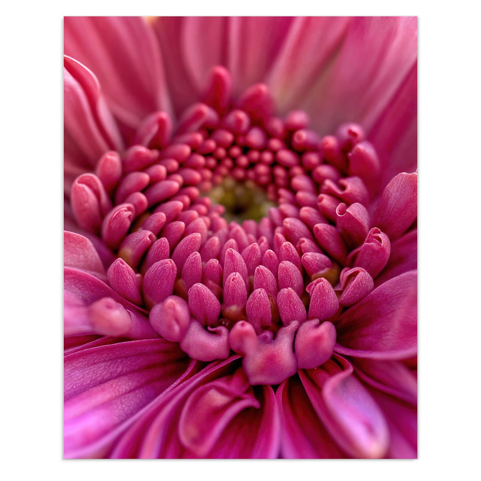 #grösse_60 x 75 cm #grösse_80 x 100 cm