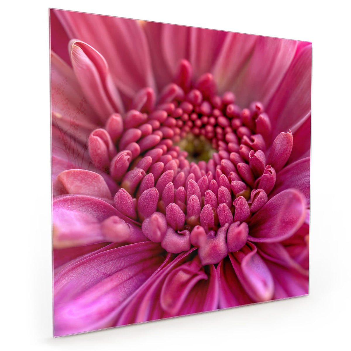 #grösse_40 x 40 cm #grösse_50 x 50 cm #grösse_60 x 60 cm