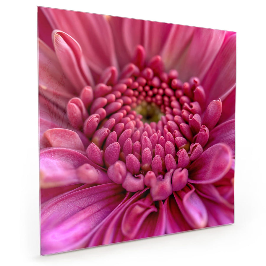 Maße Küchenrückwand Pinke Blütenspirale aus Glas