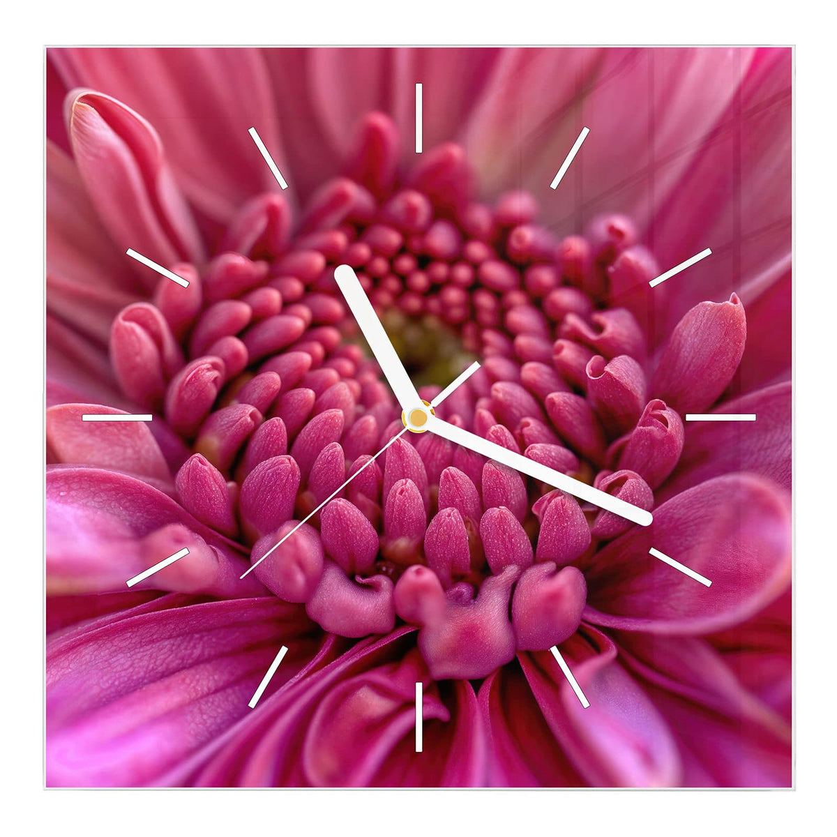 Wanduhr aus Glas, Ziffernblatt Linie: Makro einer pinken Blüte, deren Knospenzentrum sich spiralig anordnet.