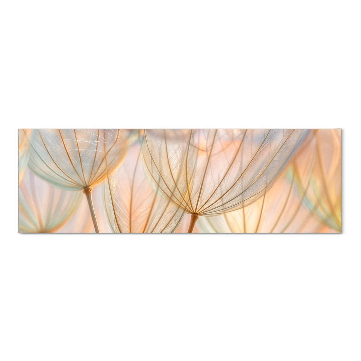 Flacher waschbarer Küchenteppich mit Motiv Pusteblumen Kunst in Frontansicht