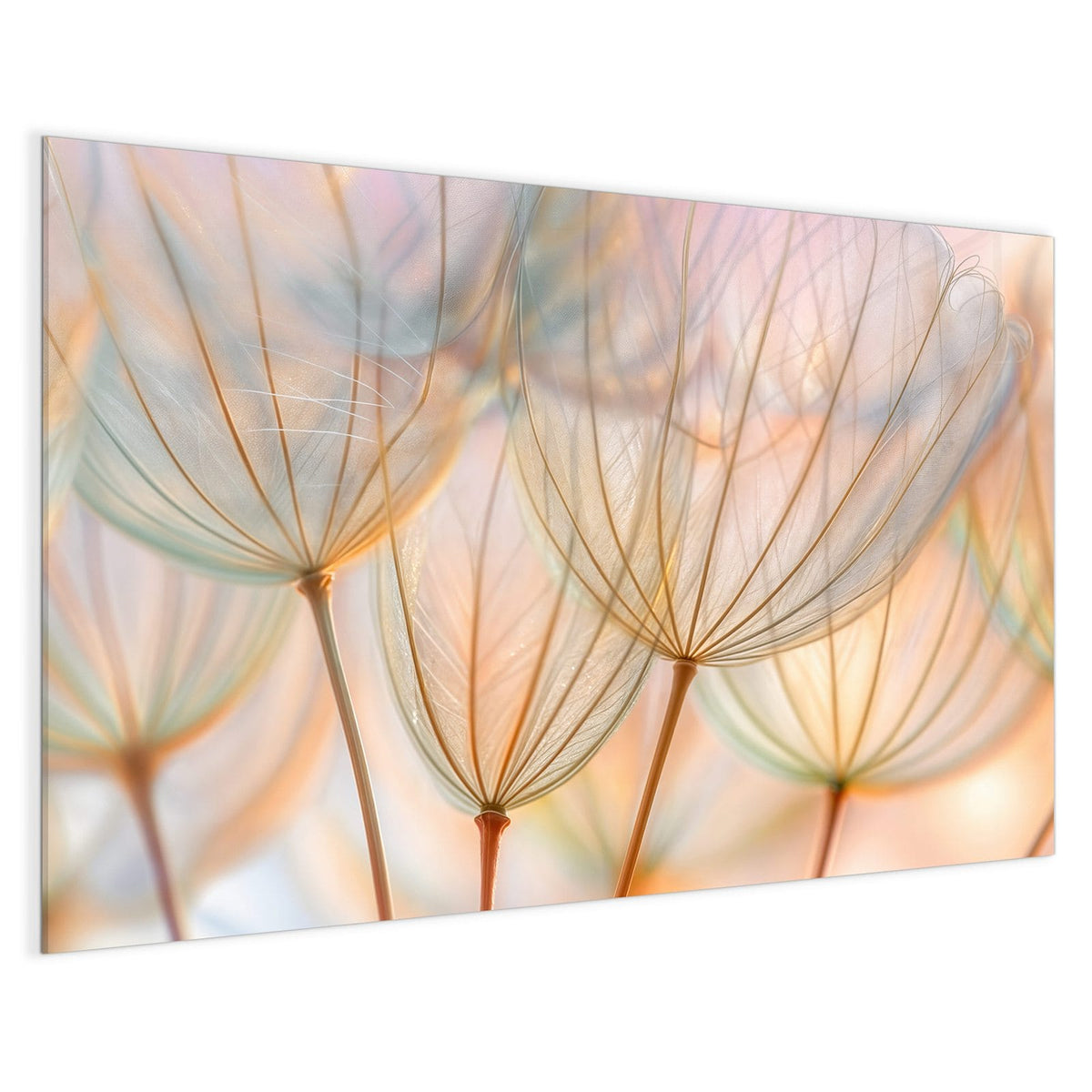 4 mm Glas statt lackiertem Blech – Magnettafel - Pusteblume in Pastell