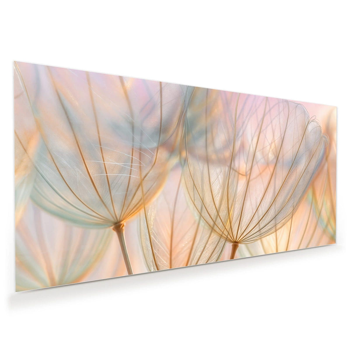 Große, durchscheinende Samenschirmchen in Apricot, Mint und Rosa vor pastelligem Licht.