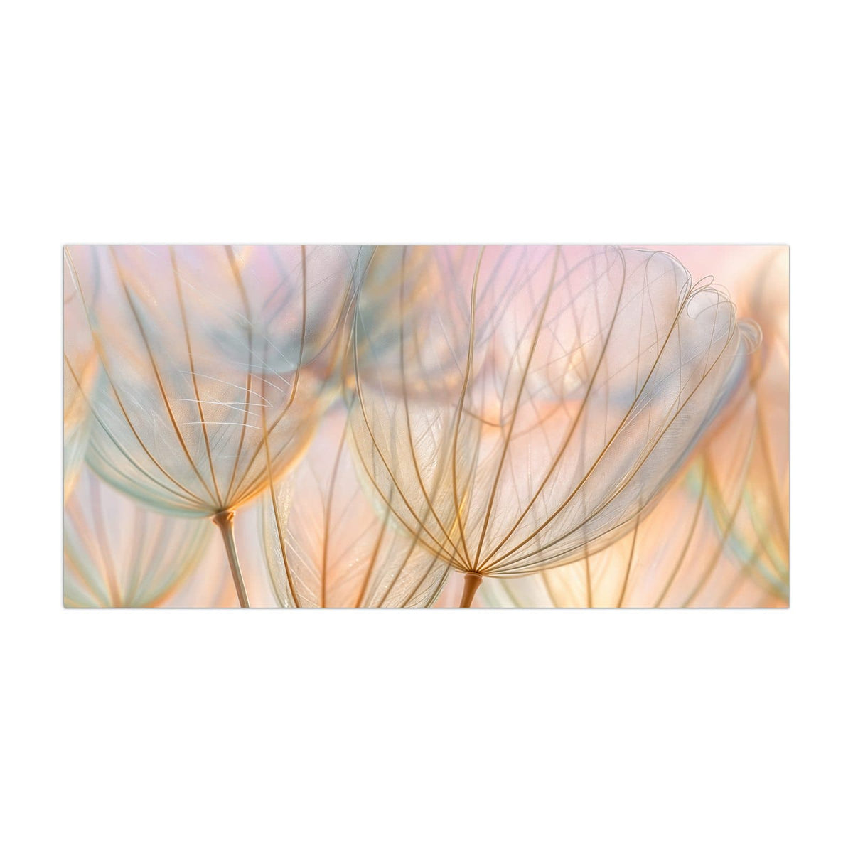 Küchenrückwand aus Glas Pusteblume in Pastell im Hochformat, Motiv bildfüllend von vorn