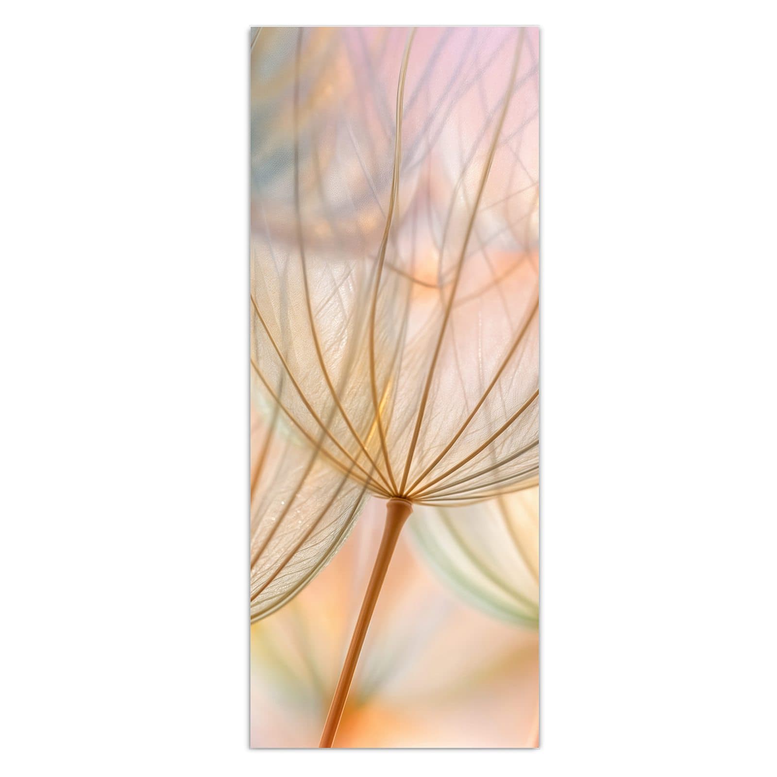 #grösse_50 x 125 cm #grösse_40 x 100 cm #grösse_60 x 150 cm