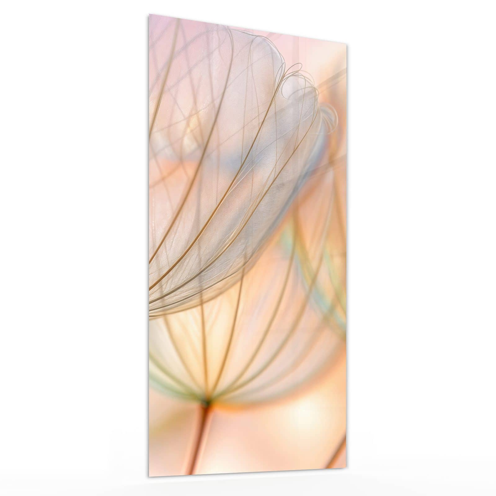 #grösse_30 x 60 cm #grösse_40 x 80 cm #grösse_50 x 100 cm #grösse_55 x 110 cm #grösse_60 x 120 cm