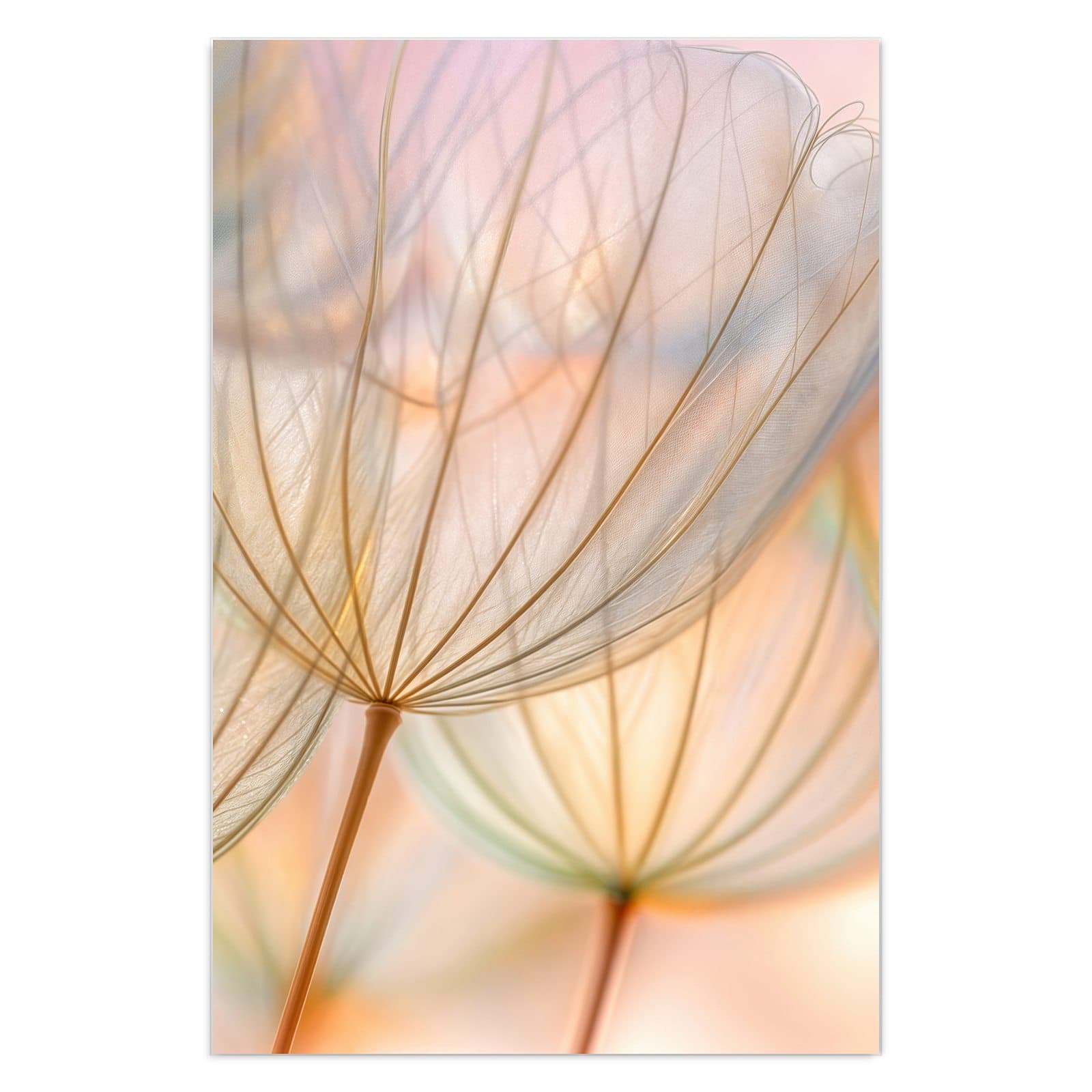 #grösse_40 x 60 cm #grösse_50 x 75 cm #grösse_60 x 90 cm