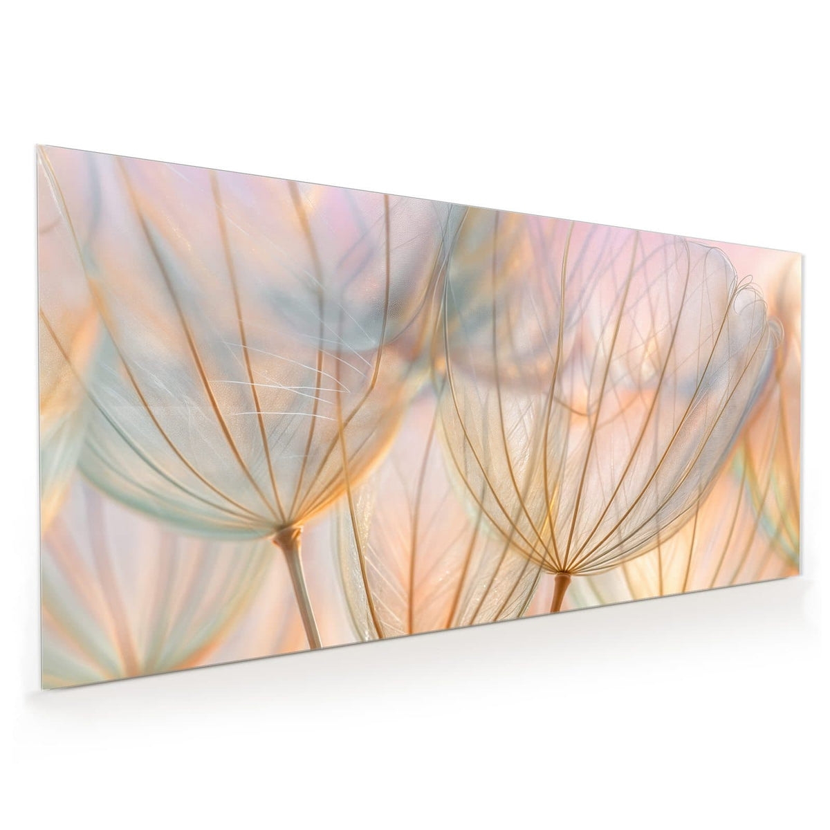 Küchenrückwand aus Glas im Hochformat mit Motiv Pusteblume in Pastell: Große, durchscheinende Samenschirmchen in Apricot, Mint und Rosa vor pastelligem Licht.