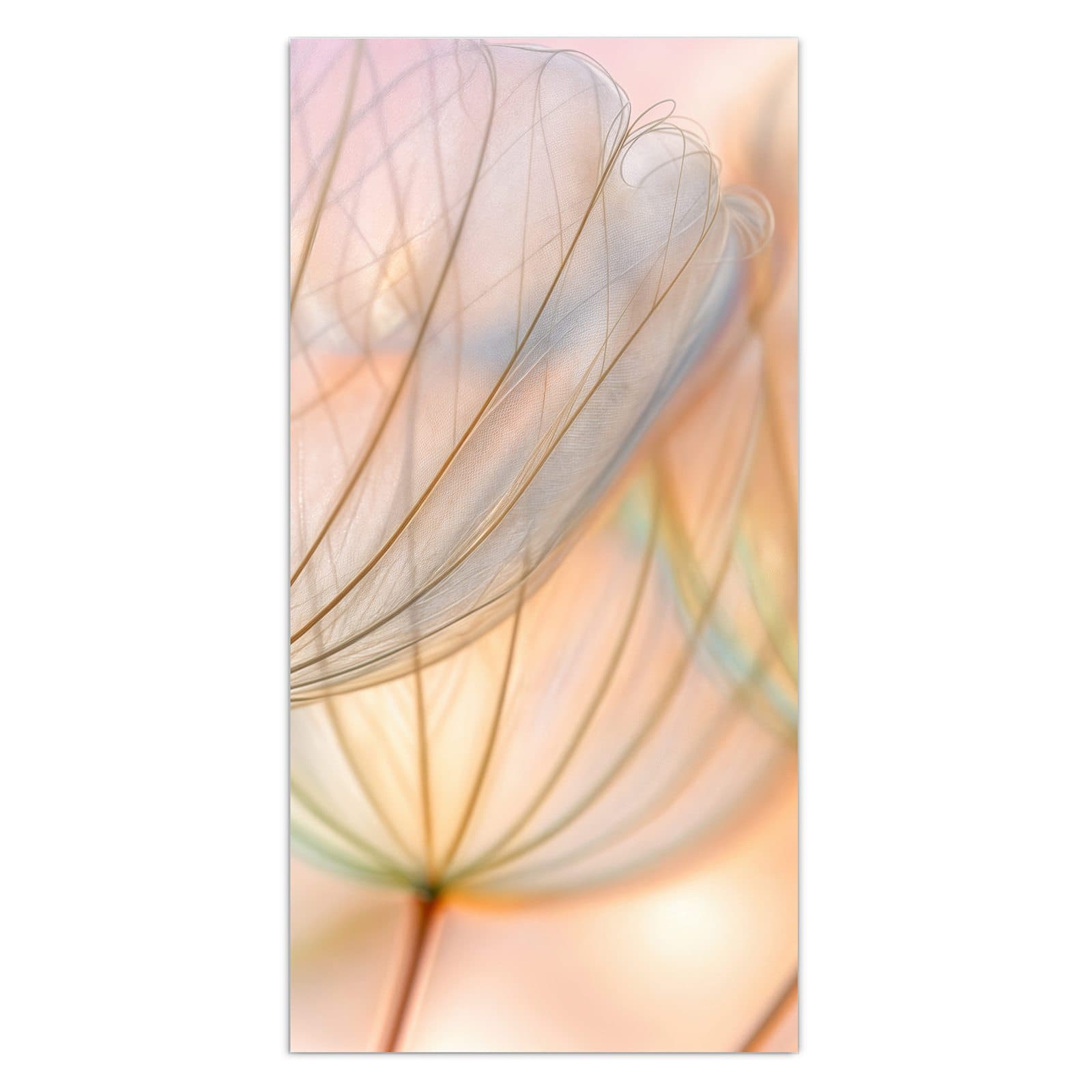 #grösse_30 x 60 cm #grösse_40 x 80 cm #grösse_50 x 100 cm #grösse_55 x 110 cm #grösse_60 x 120 cm