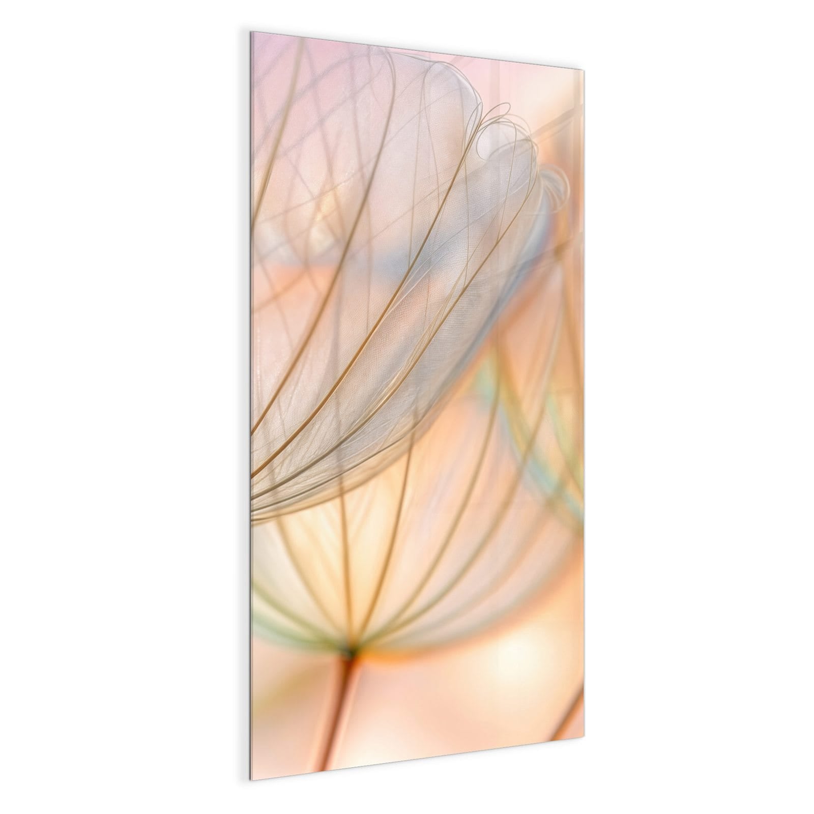 #grösse_50 x 100 cm