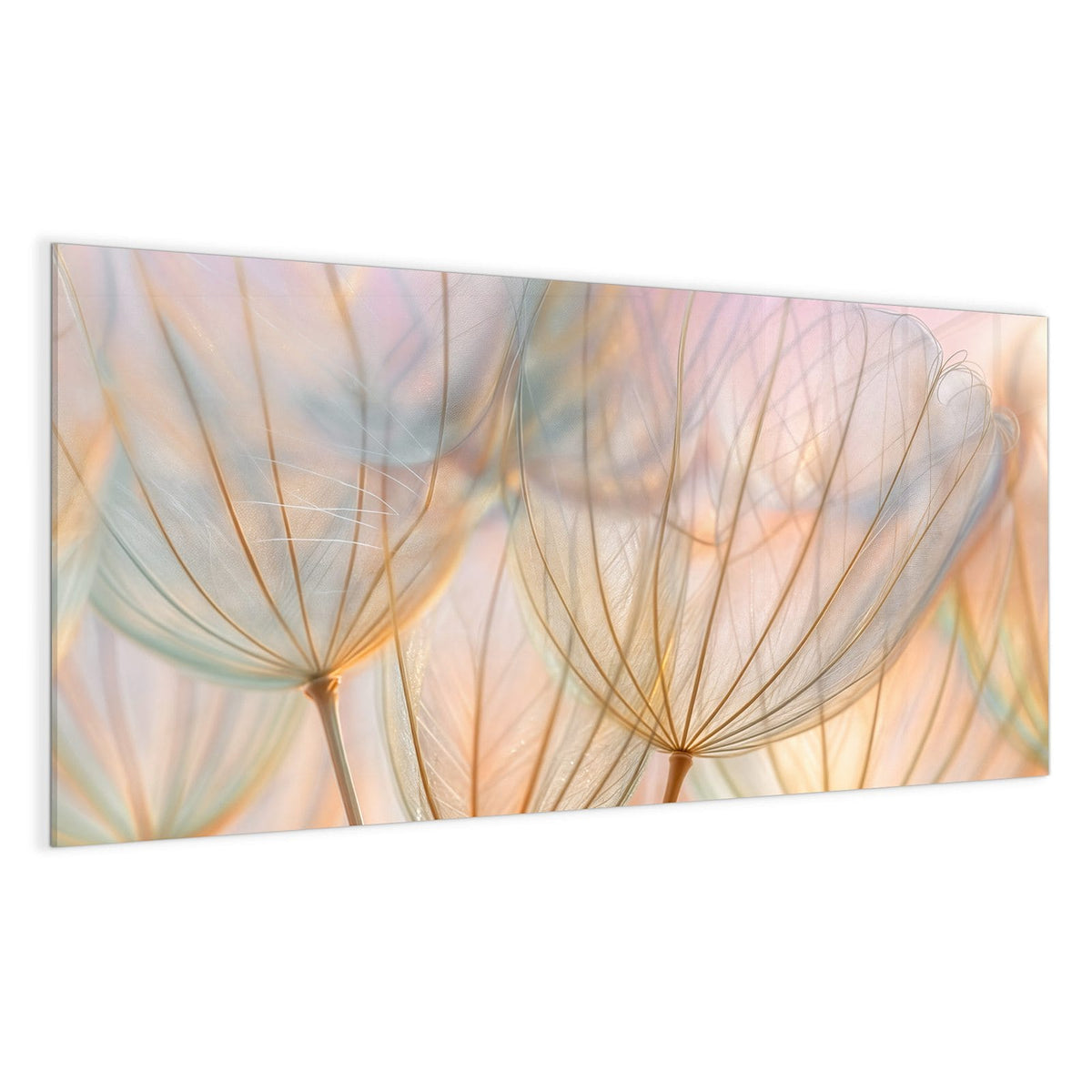 Große, durchscheinende Samenschirmchen in Apricot, Mint und Rosa vor pastelligem Licht.