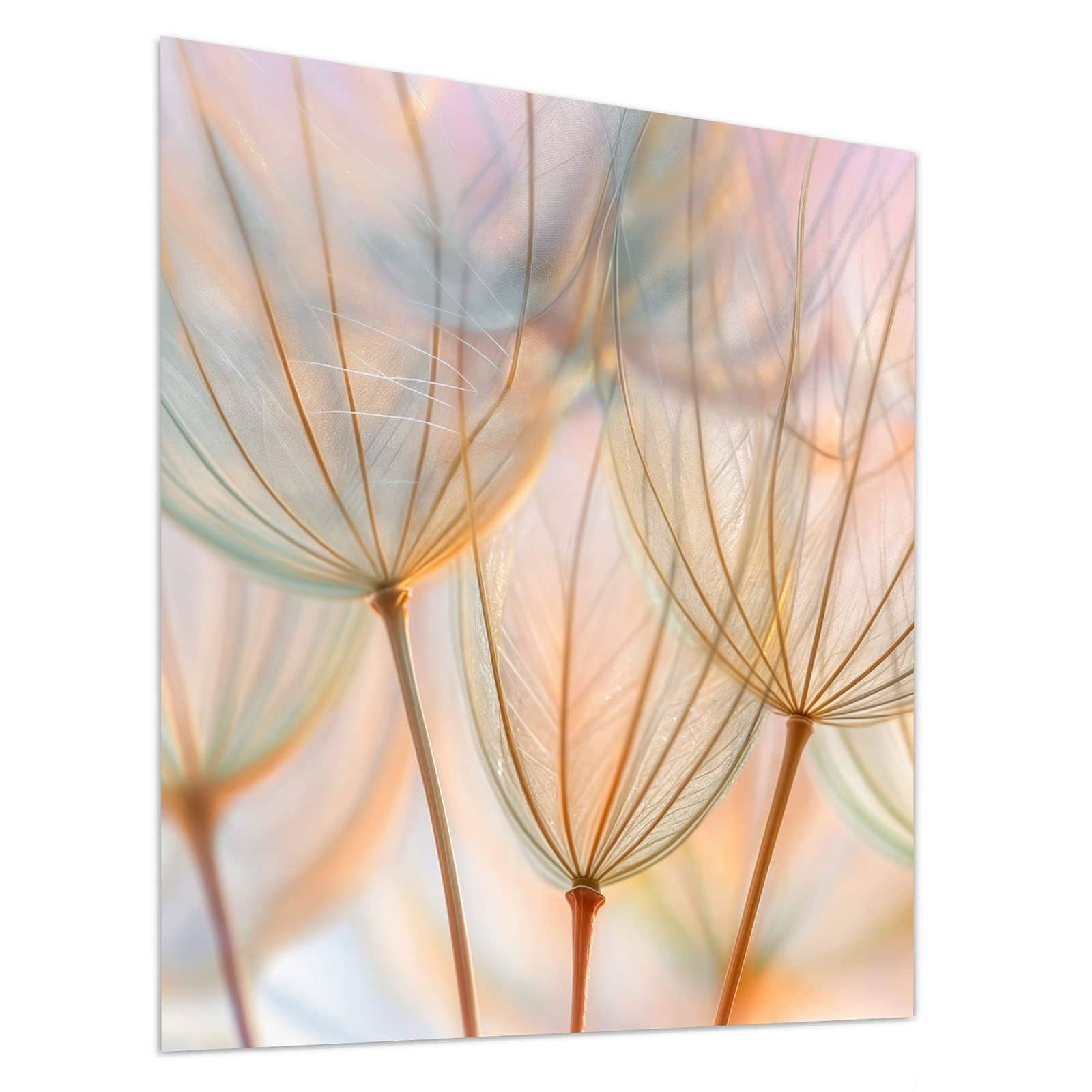 #grösse_90 x 100 cm