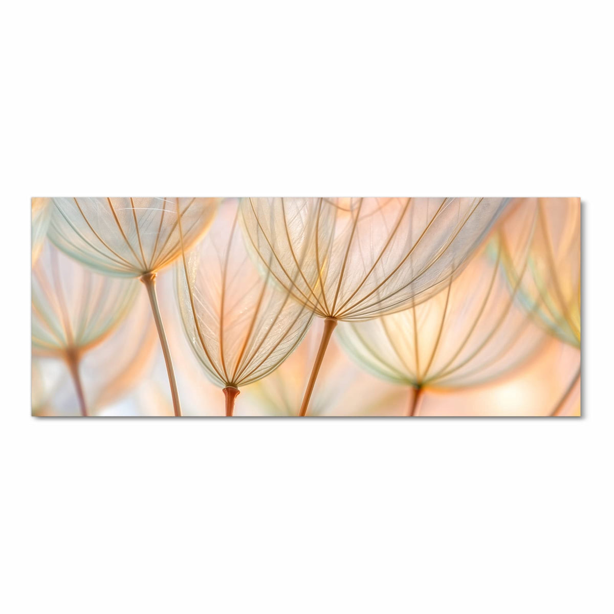 Küchenteppich mit Motiv Pusteblumen Kunst in Frontansicht für optimalen Trittkomfort