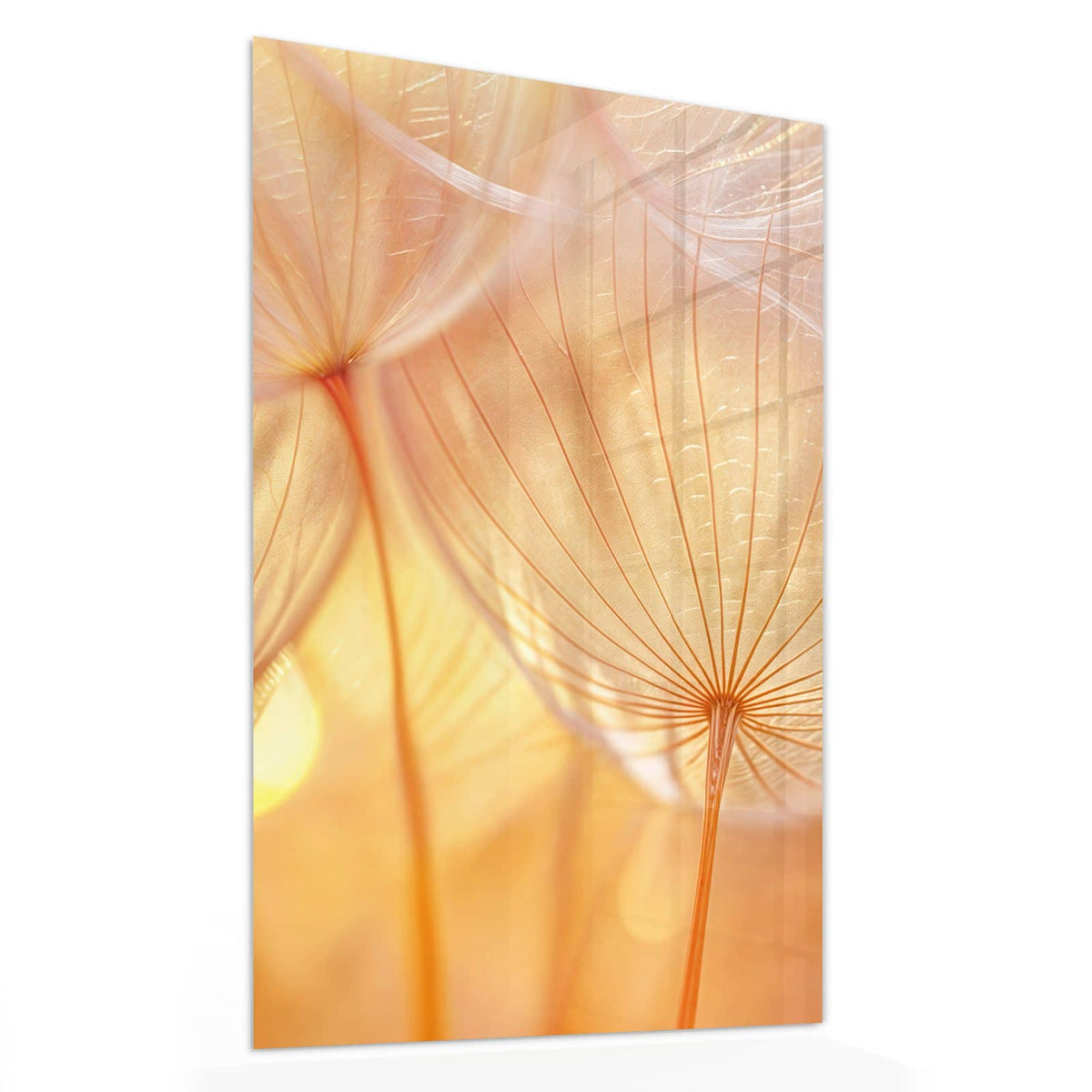 11 Größen – von 30 × 60 bis 60 × 150 cm – Wandbild - Pusteblume im Goldlicht - Hochformat
