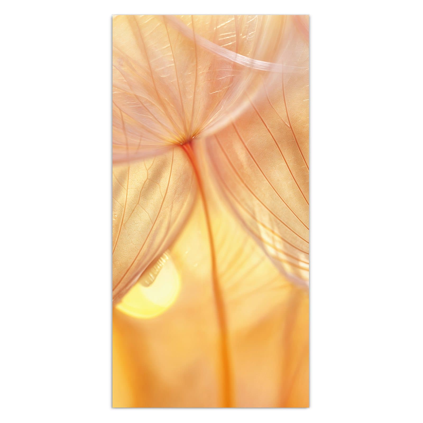 #grösse_30 x 60 cm #grösse_40 x 80 cm #grösse_50 x 100 cm #grösse_55 x 110 cm #grösse_60 x 120 cm