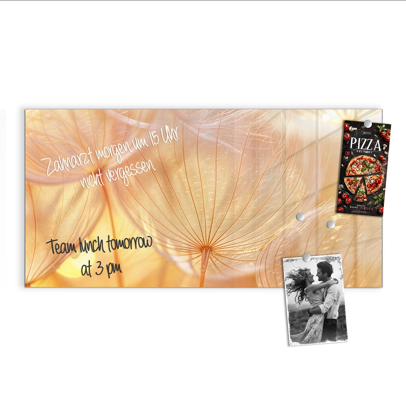 #grösse_100 x 50 cm