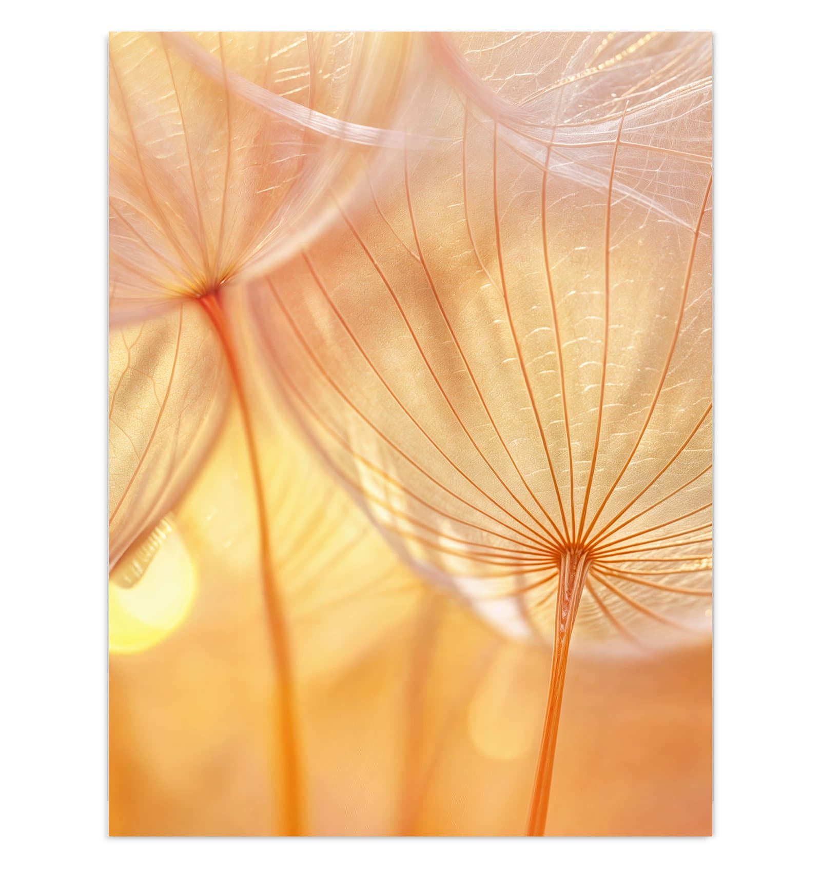 #grösse_30 x 40 cm #grösse_60 x 80 cm #grösse_75 x 100 cm