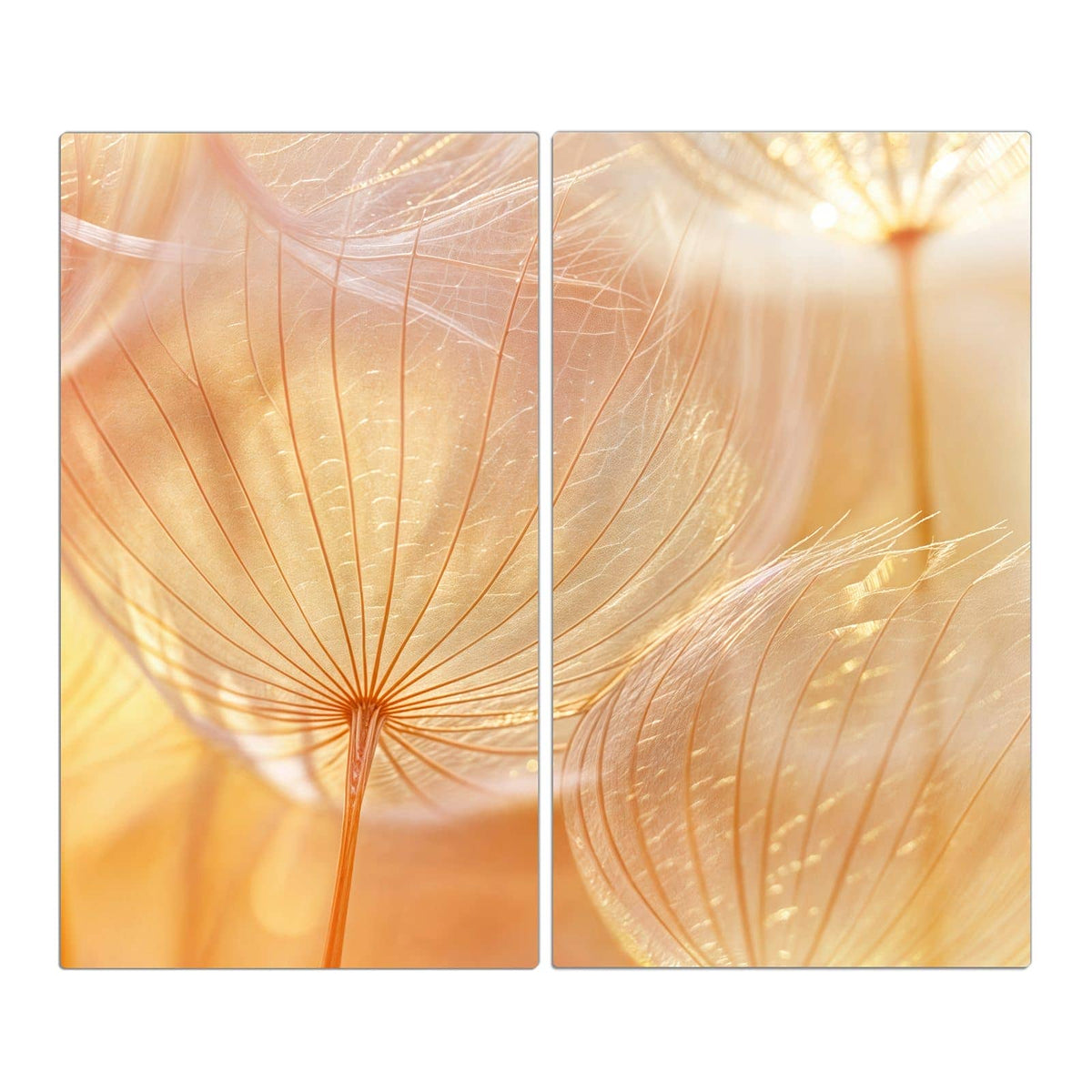 Makro von Löwenzahn-Samenschirmen im warmen goldenen Gegenlicht.