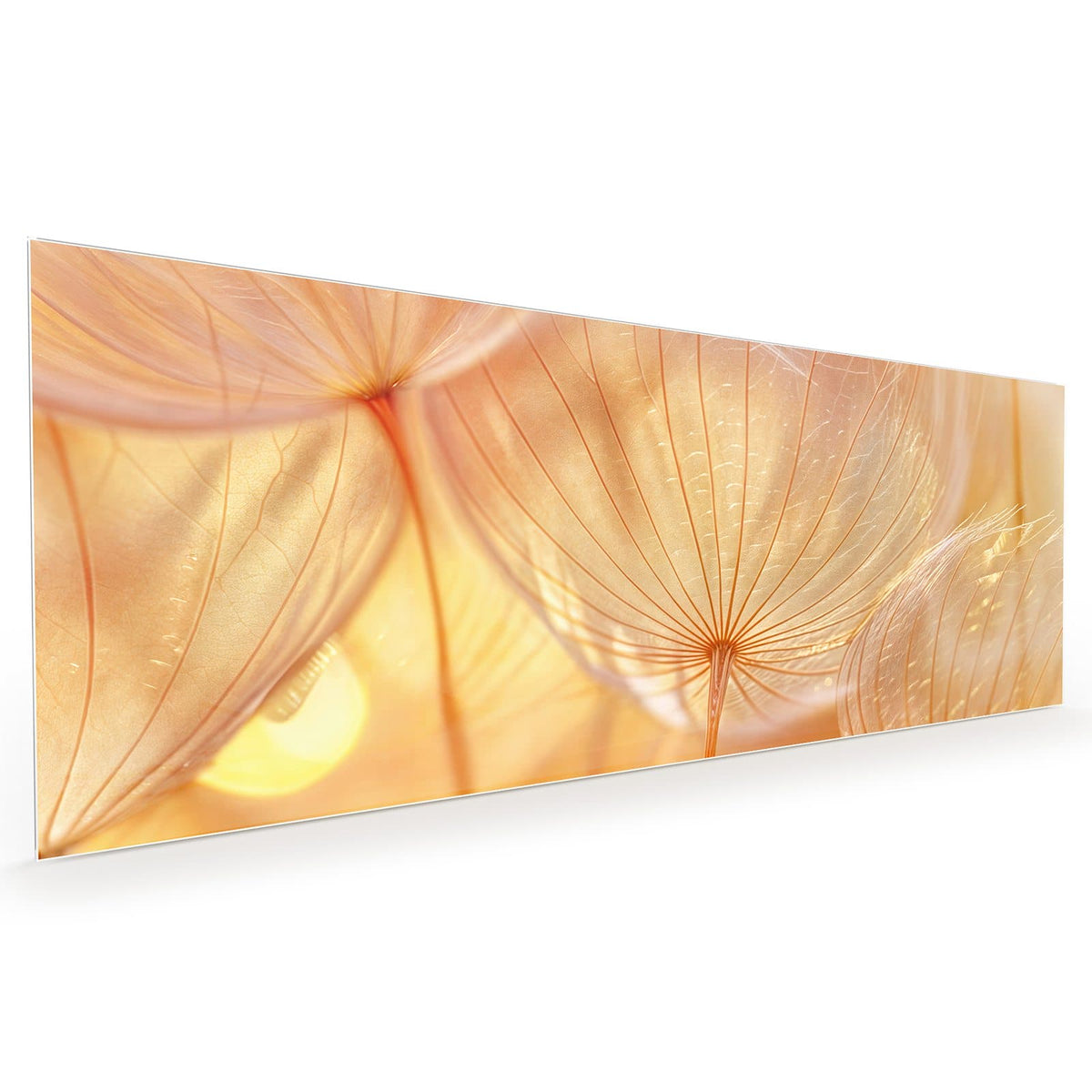 #grösse_40 x 100 cm #grösse_50 x 125 cm #grösse_60 x 150 cm