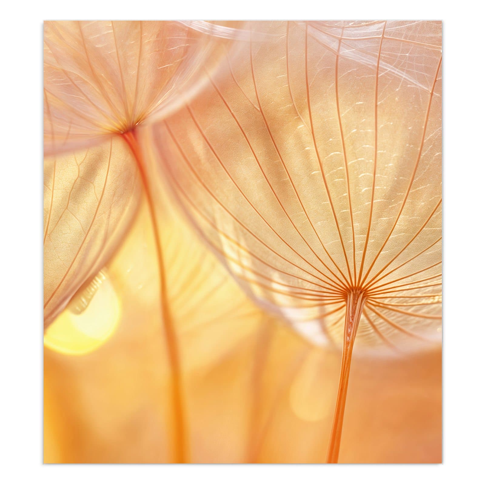 #grösse_90 x 100 cm