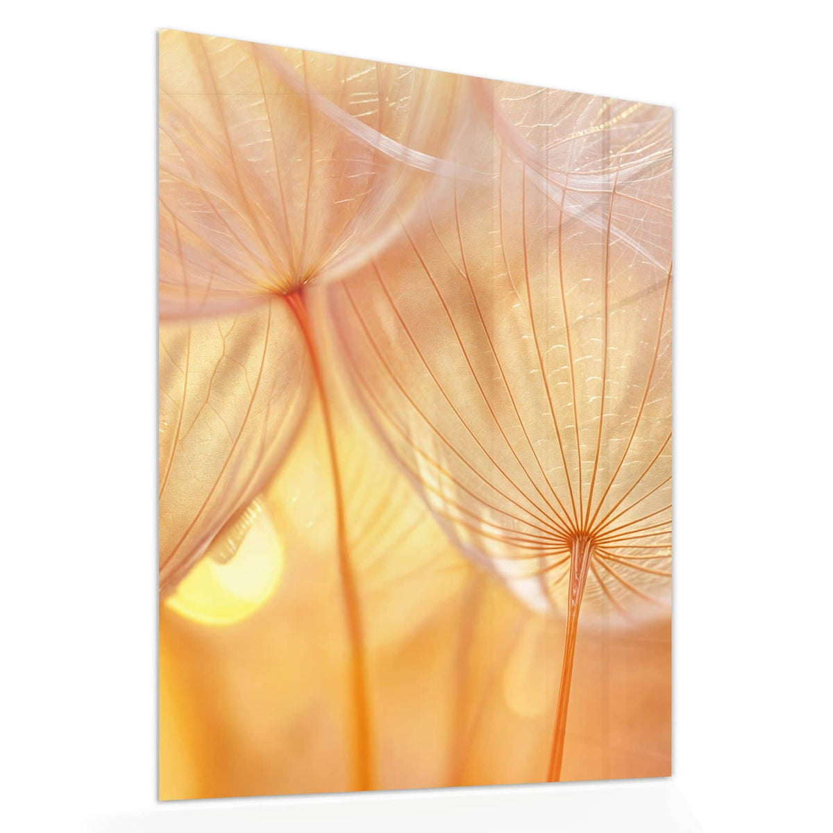 Echtglas, 4 mm – kein Acryl, keine Folie – Wandbild - Pusteblume im Goldlicht - Hochformat