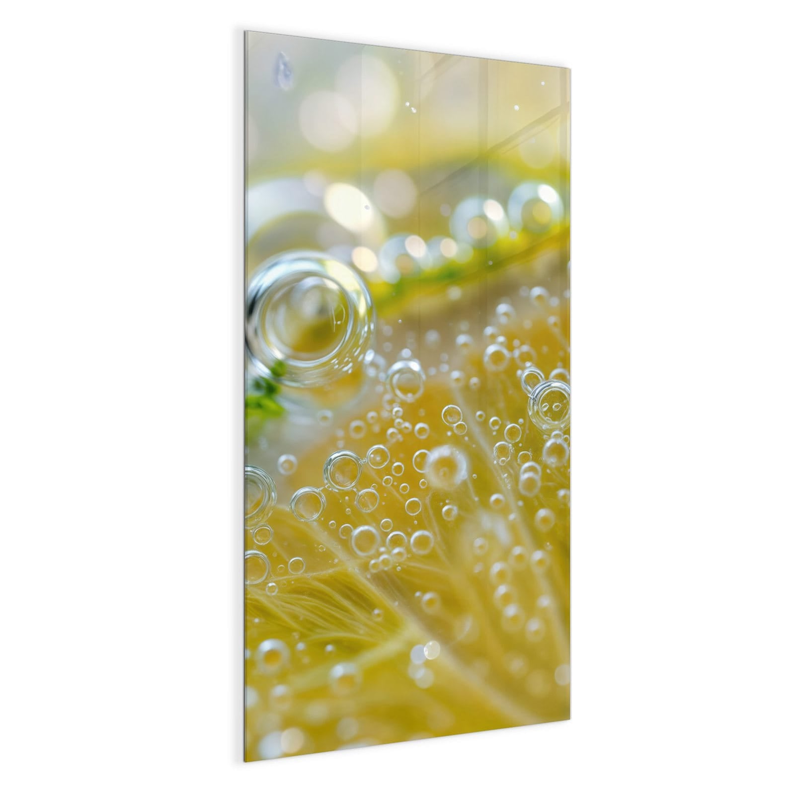 #grösse_50 x 100 cm