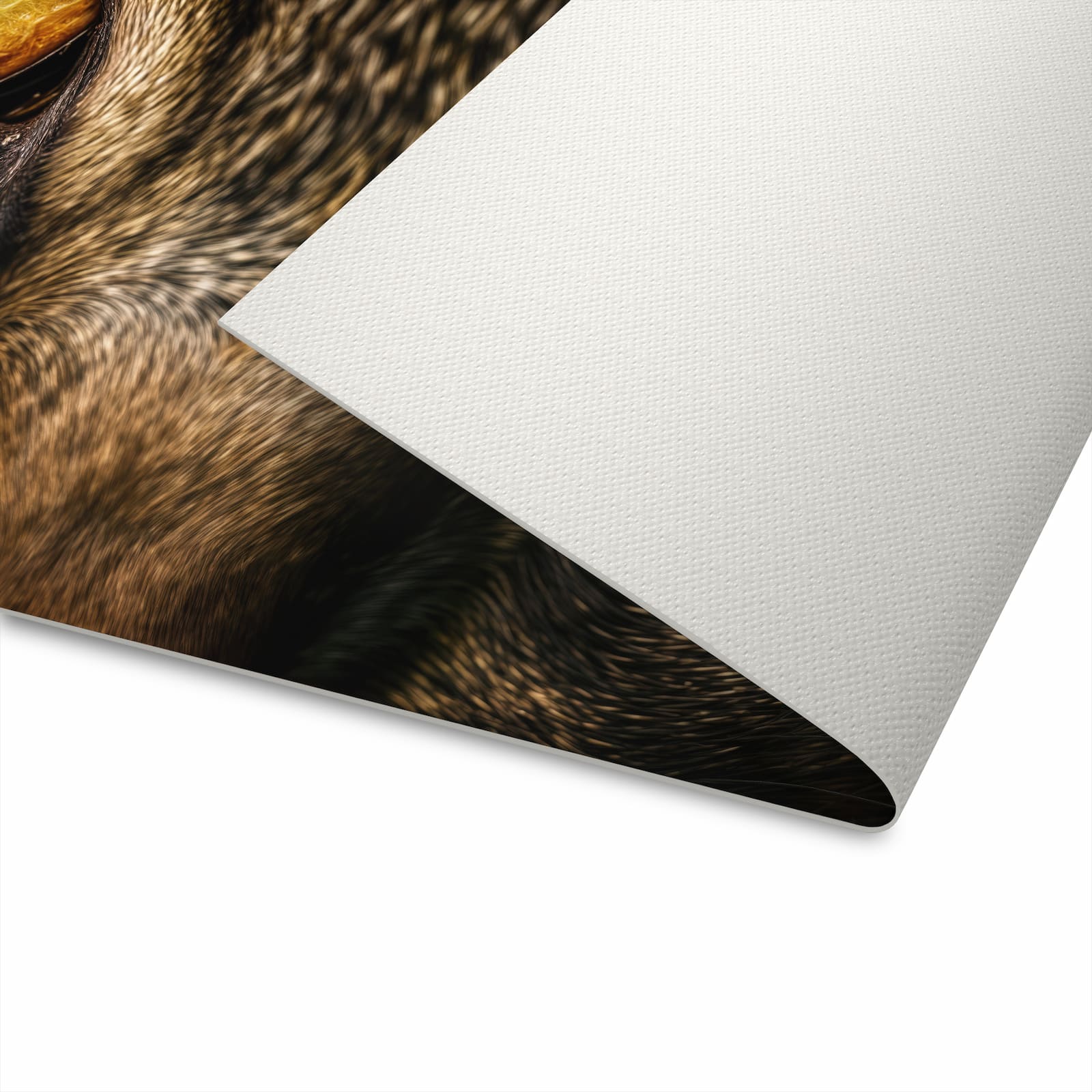 Pflegeleichter Teppich für die Küche mit Motiv Katzenaugencloseup auf Unterseite