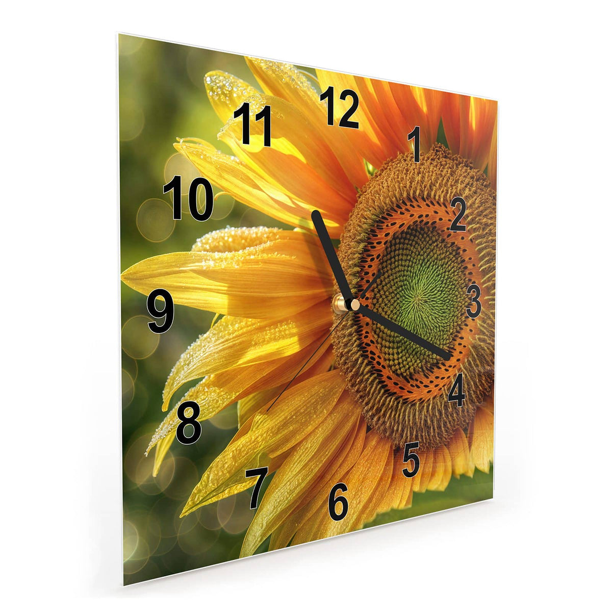 Quadratische Wanduhr aus Glas Sonnenblume mit Tau schräg von der Seite, 4 mm starkes Glas