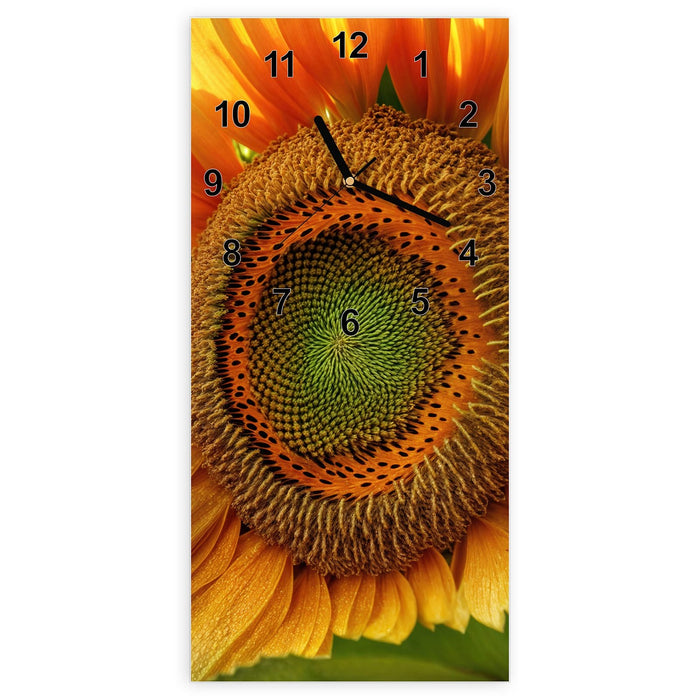 Wanduhr Sonnenblume Makro aus Glas – Hochformat 30 × 60 cm mit Ziffernblatt Modern