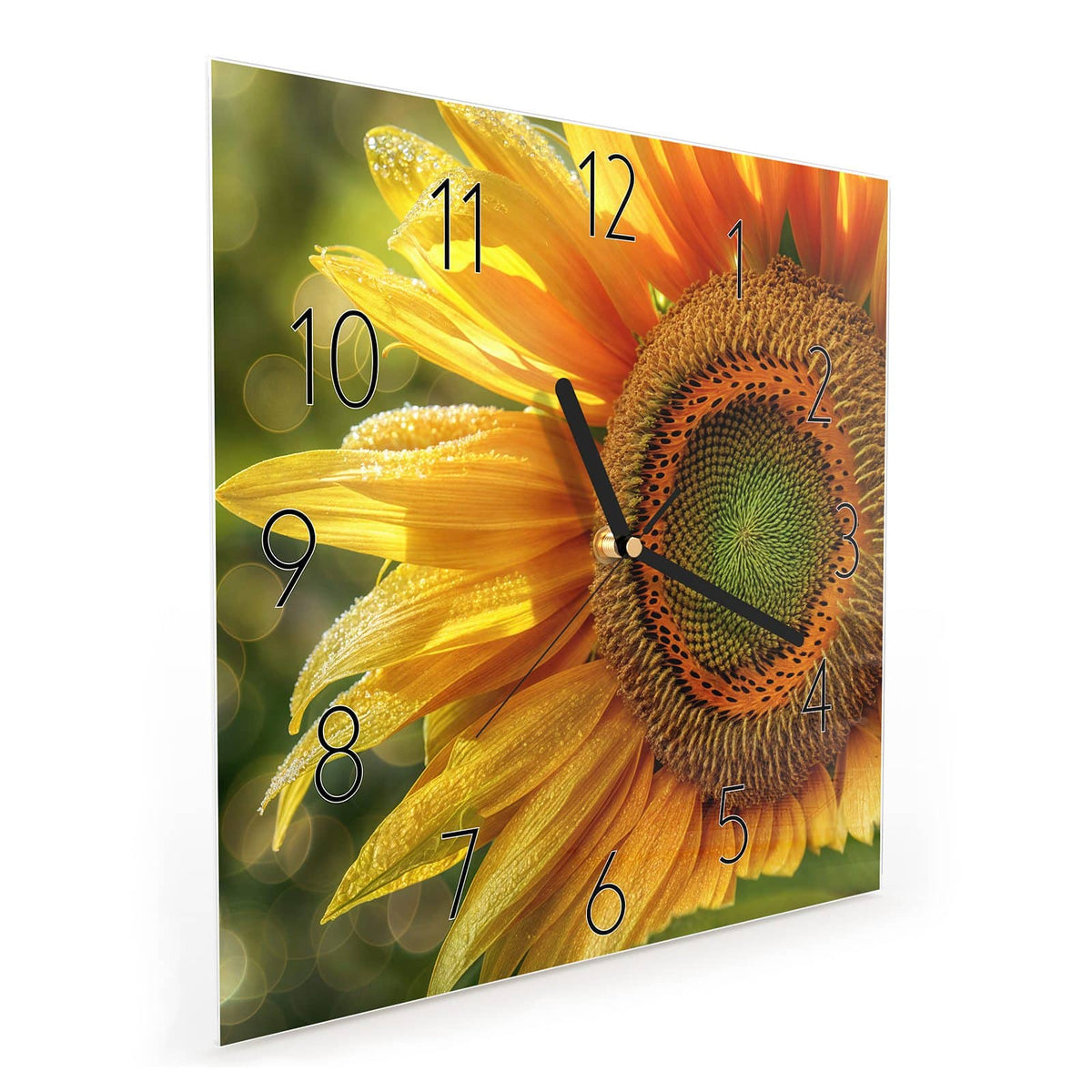 Quadratische Wanduhr aus Glas Sonnenblume mit Tau schräg von der Seite, 4 mm starkes Glas
