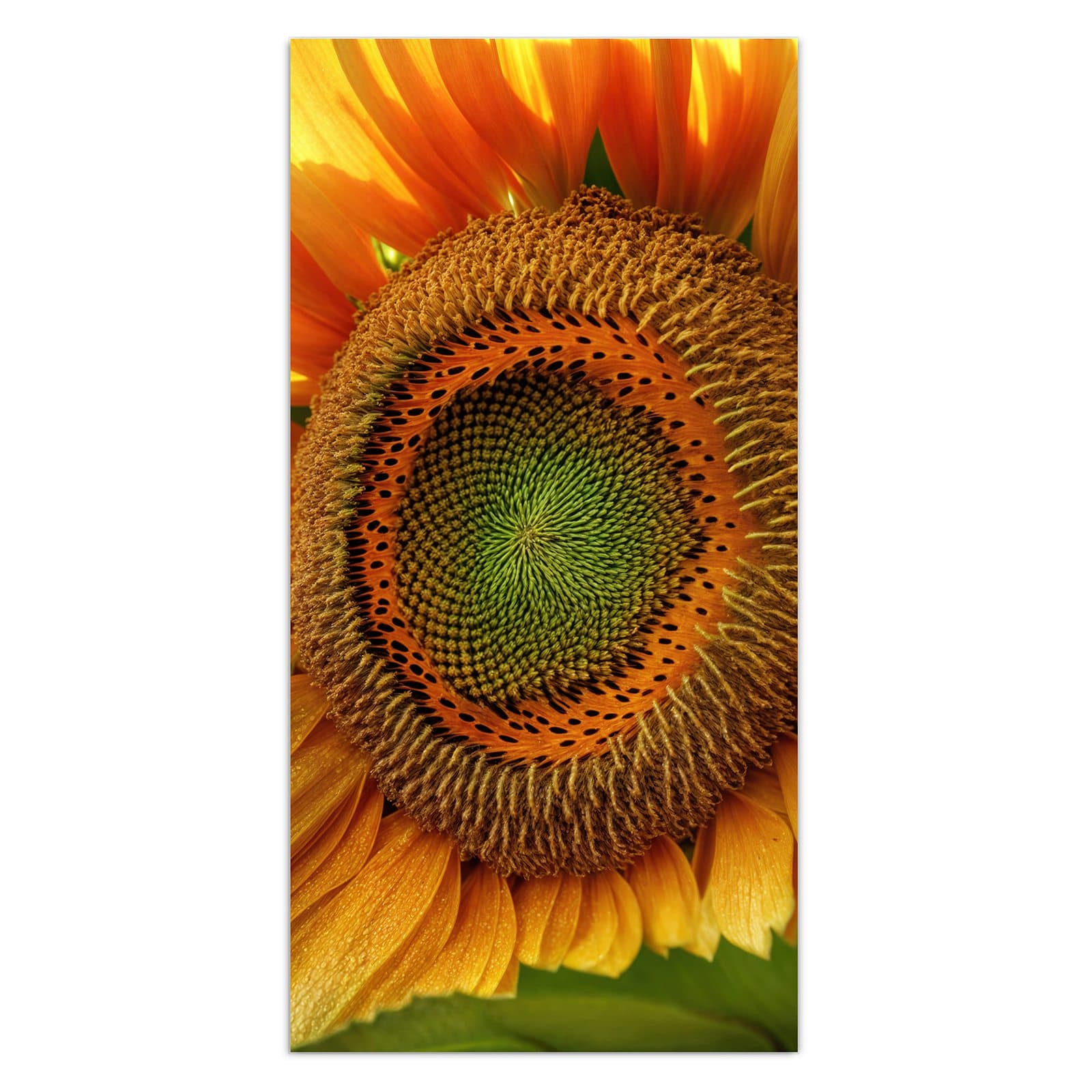 #grösse_30 x 60 cm #grösse_40 x 80 cm #grösse_50 x 100 cm #grösse_55 x 110 cm #grösse_60 x 120 cm