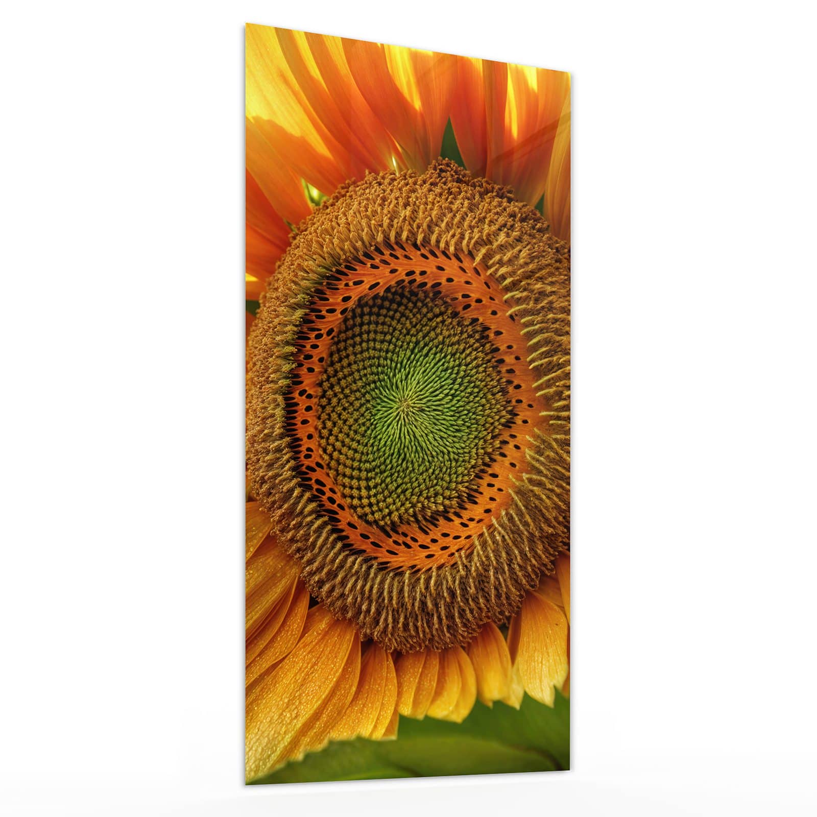 #grösse_30 x 60 cm #grösse_40 x 80 cm #grösse_50 x 100 cm #grösse_55 x 110 cm #grösse_60 x 120 cm