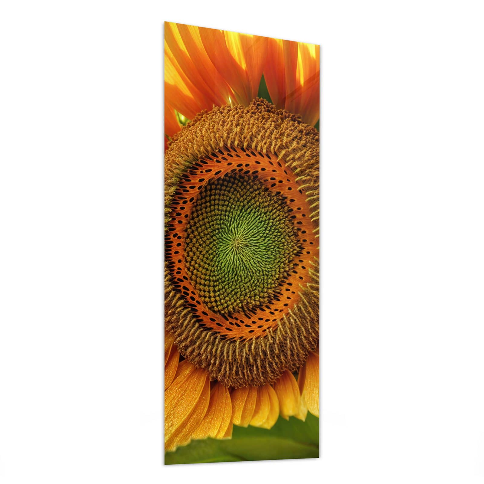 #grösse_50 x 125 cm #grösse_40 x 100 cm #grösse_60 x 150 cm