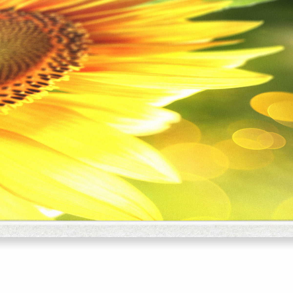 Küchenteppich mit Motiv Sonnenblume Blüte in seitlicher Ansicht für angenehme Haptik