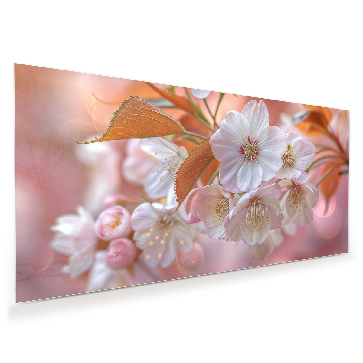 Weiße Kirschblüten mit bronzefarbenen jungen Blättern vor pfirsichfarbenem Bokeh.